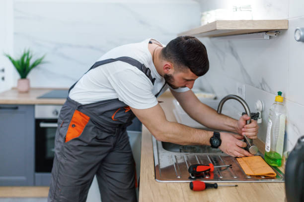 Best Plumbing Inspection Services  in Lewes, DE